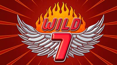Wild 7