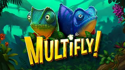 Multifly